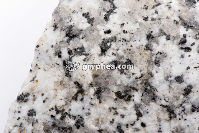 Granite sain - gryphea.com